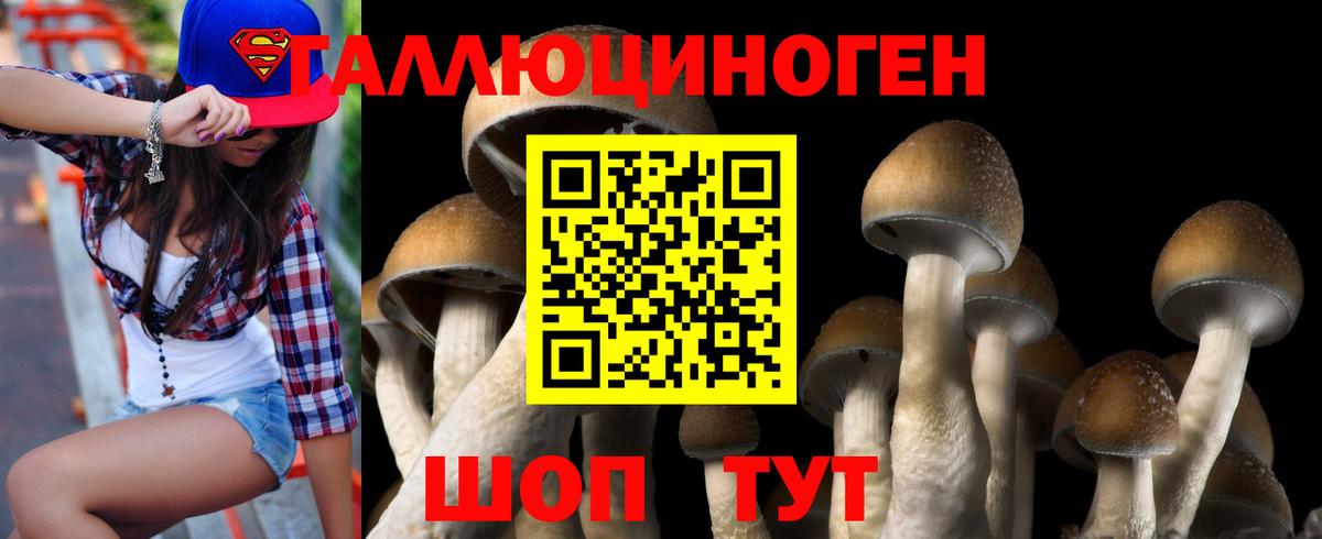 Великие Луки  Галлюциногенные грибы Magic Shrooms  как найти закладки  Вход с VPN 